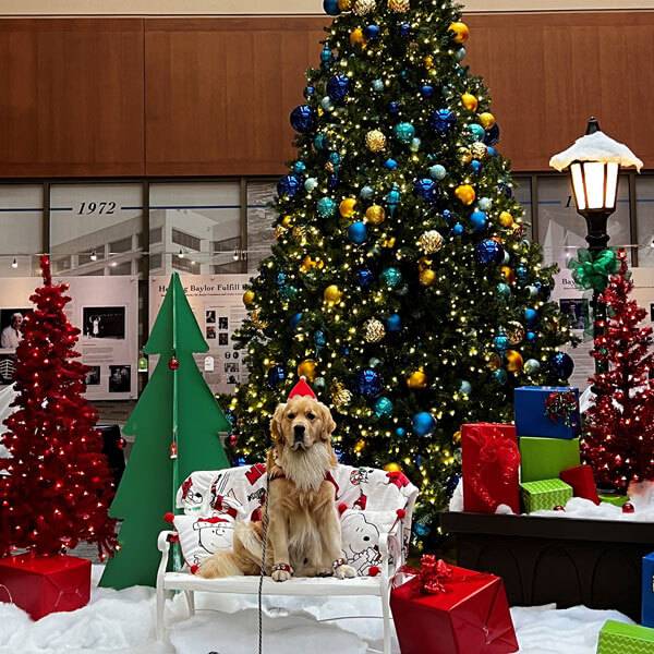 A beautifully decorated Christmas tree, showcasing festive event decor in Dallas, TX